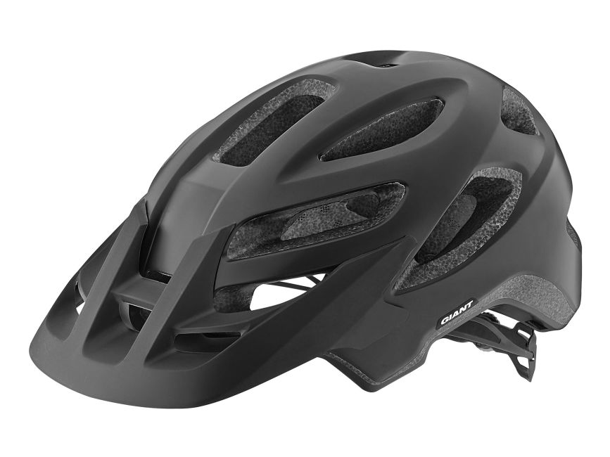 Giant roost mips helmet 2024 review